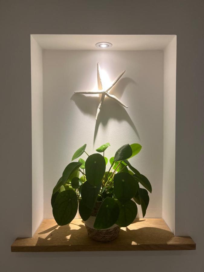 Appartement Van Der Zee Zandvoort Zewnętrze zdjęcie