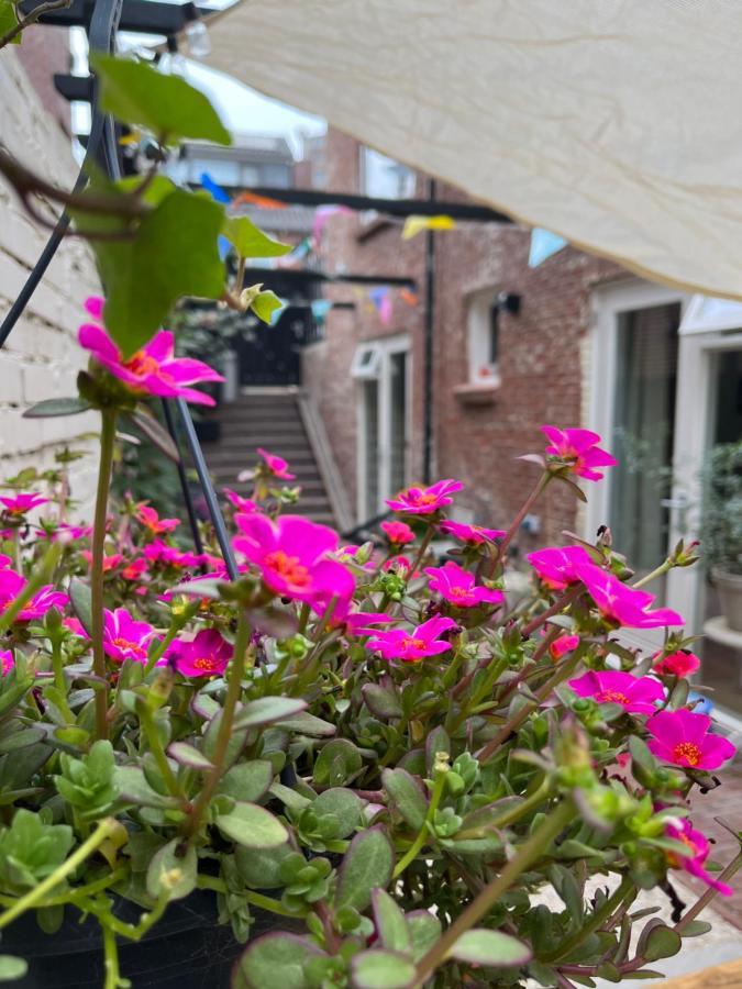 Appartement Van Der Zee Zandvoort Zewnętrze zdjęcie